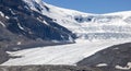 Ice Explorers on the Athabasca Glacier off the Icefield Parkway in Jasper National Park, Alberta, Canada