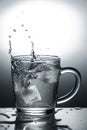 The ice falls into the transparent mug Royalty Free Stock Photo