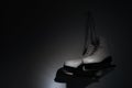 Ice female vintage skates on dark wall Royalty Free Stock Photo