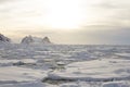 Ice field at sunset, Antarctica