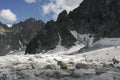 Ice field. Transbaikalia.