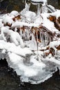 Ice figurines, iced tree, branches in icy glaze, frozen water in icicles, ice patterns