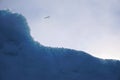 Close up iceberg edge against clear empty sky and seagull