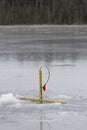An ice fisherman's trap set in ice