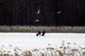 Ice fishing on a frozen lake in Finland.