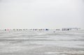 Ice fishing. A group of people Many fishermen thin ice. Winter and gray sky. Royalty Free Stock Photo