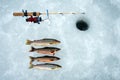 Ice fishing in Norway Royalty Free Stock Photo