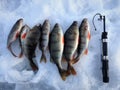 Ice fishing. Winter fishing