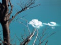 Ice floating over a blue lake