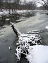 Kishwaukee River Winter Scene Royalty Free Stock Photo