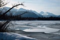 ice floe drifting downstream, with frozen trees and mountains in the background