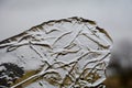 Ice floe with Grass strukture Royalty Free Stock Photo