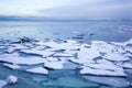 Ice floe in winter Norway