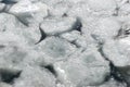 Ice floes floating on water in winter
