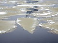 Ice floes floating on the river during the spring ice drift