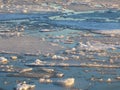 Ice floes in the Oslo fjord, Norway Royalty Free Stock Photo