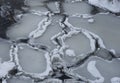 Ice floes in dark river