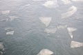 Ice floes on a river