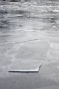 Ice floes on a river