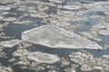 Ice floes on the river Elbe in Winter