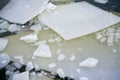 Ice floes on the river Elbe in winter