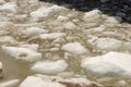 Ice floes on the water from the glacier. Ice drift Royalty Free Stock Photo