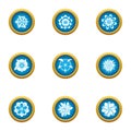Ice flower icons set, flat style