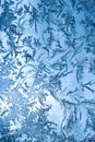 Ice flower pattern Royalty Free Stock Photo