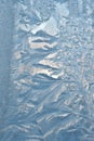 Ice flower pattern on window glass Royalty Free Stock Photo