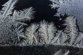 Ice flowers - frost pattern Royalty Free Stock Photo