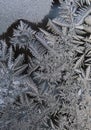 Ice flowers - frost pattern Royalty Free Stock Photo