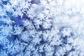 Ice flowers frozen blue window textured background Royalty Free Stock Photo