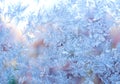 Ice flowers frozen texture on window background Royalty Free Stock Photo