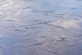 Ice Flowers, frozen water, sky reflection, natural blue background