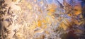 Ice flowers frozen on window. Winter cold textured pattern. Macro view. Frost crystal.