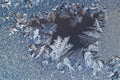 Ice flowers on glass Royalty Free Stock Photo