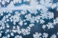 Ice flowers on glass Royalty Free Stock Photo