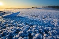 The ice flowers in the river Royalty Free Stock Photo