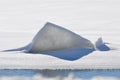 Ice formation Royalty Free Stock Photo