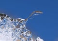 Ice formation Royalty Free Stock Photo