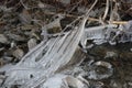 Ice Forming on Rocks and Branches