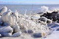 Ice Forms on Tree Branches along Great Lakes Shores Royalty Free Stock Photo