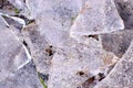 Ice fragments on frozen lake water level. The ice broken into shinning jagged pieces Royalty Free Stock Photo