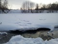 Ice-free little river in winter against small grove. Stream of river water. The snow cover. Beautiful photowall-paper Royalty Free Stock Photo