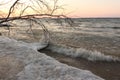 Ice in a freezing river in the fall at sunset, Ob reservoir, Siberia, Russia Royalty Free Stock Photo