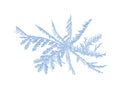 Ice Frost Hoarfrost Composition Royalty Free Stock Photo