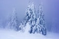 Ice Frost and Rime. Peak of the Mountain. Royalty Free Stock Photo