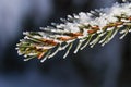 Ice frost snow winter snowflake detail Royalty Free Stock Photo