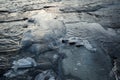 Ice frozen over rocks in lake shore