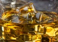 Ice in glass of whiskey macro Royalty Free Stock Photo